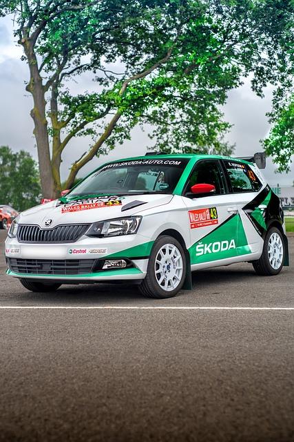 Nejlepší typy autobaterií pro Škoda Fabia