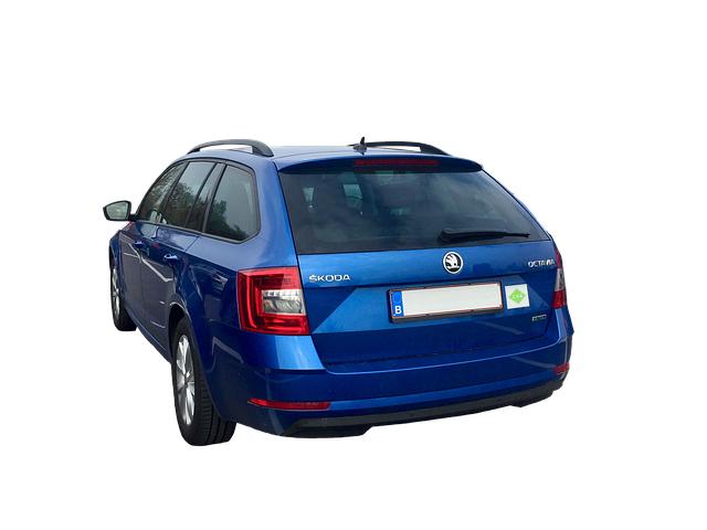 Zásady údržby autobaterie pro Škoda Octavia 1.9 TDI 2001